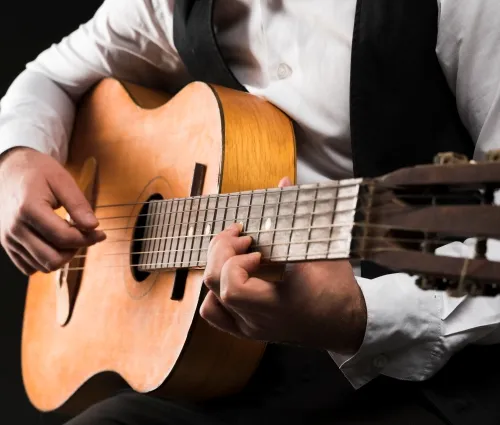 guitarra portuguesa