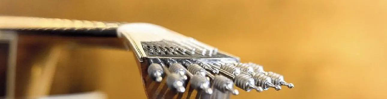 Grande festa fado amador